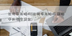 比特币与暗网(比特币与暗网 黑暗中的数字黄金)