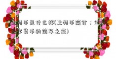 比特币是什么样(比特币简介：全球数字货币的前车之鉴)