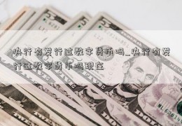 央行有发行过数字货币吗_央行有发行过数字货币吗现在