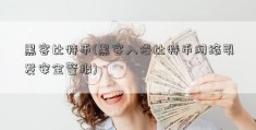 黑客比特币(黑客入侵比特币网络引发安全警报)