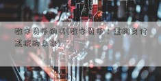 数字货币的书(数字货币：重构支付系统的未来)