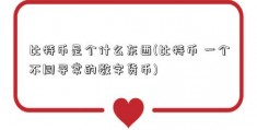 比特币是个什么东西(比特币 一个不同寻常的数字货币)